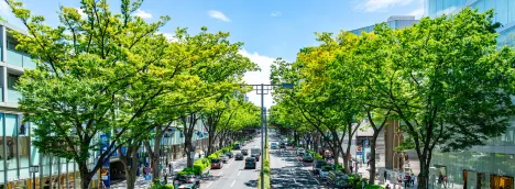 表参道